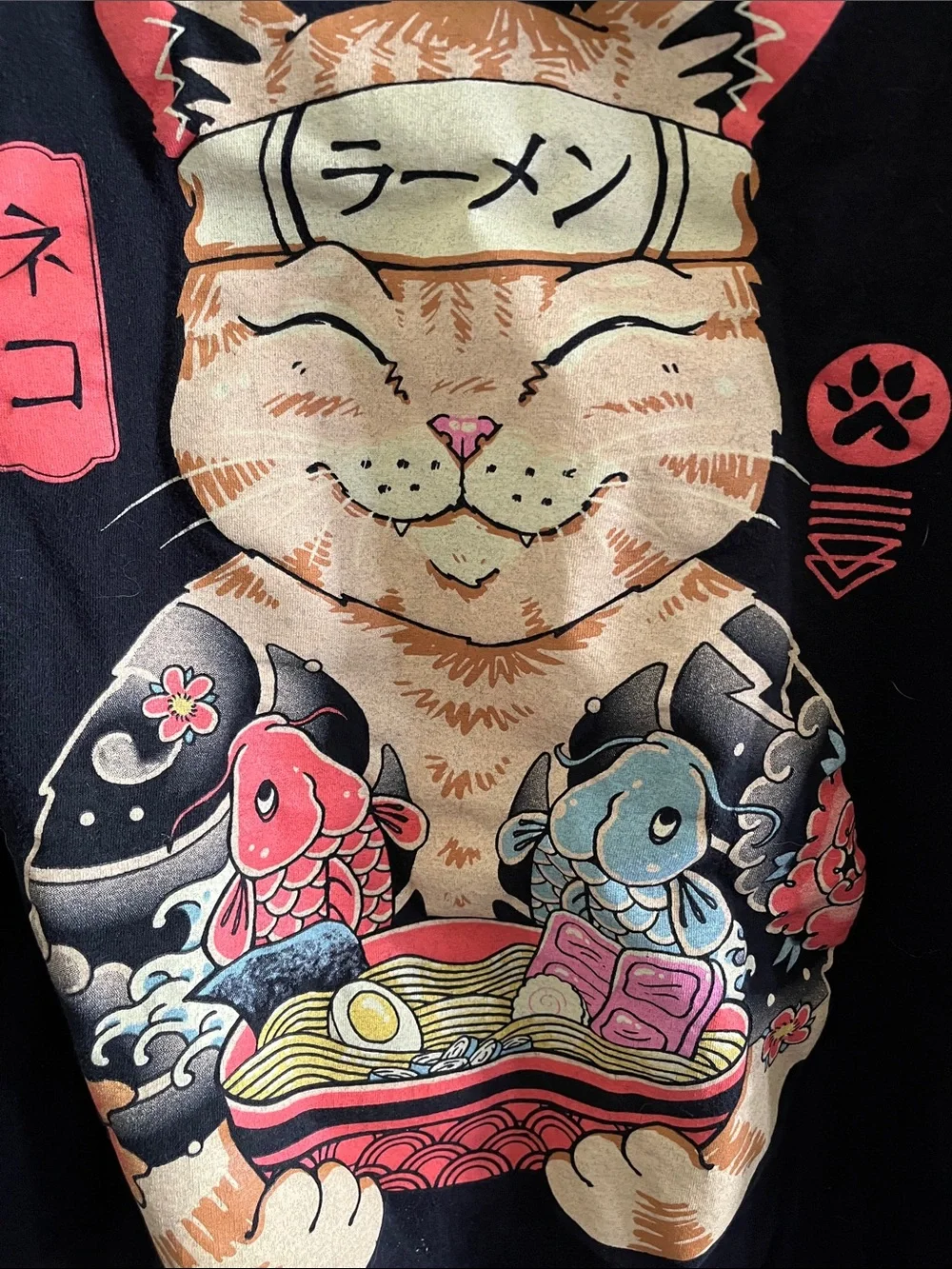 Meowster the Cat- Black Cat Ramen Graphic Tee - Black, Cream, Red, Pink, Blue